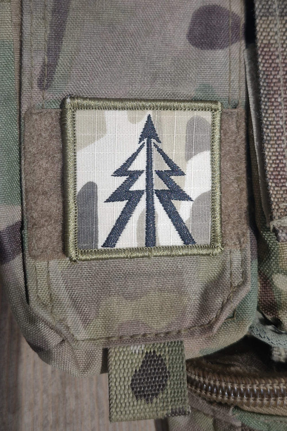Recce tree MTP patch on a chest rig.